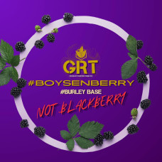 Табак для Кальяну GREAT Medium 100 гр Boysenrry (Ожина)