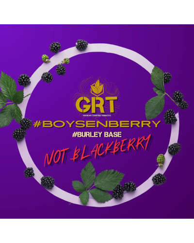Табак для Кальяна GREAT Medium 100 гр Boysenrry (Ежевика)