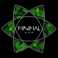 Табак для Кальяна MINIMAL 50 гр Mint (Мята)