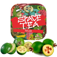 Бестабачная смесь Space Tea Feijoa (Фейхоа) 40г