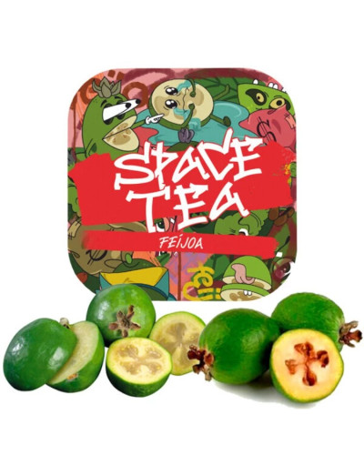 Бестабачная смесь Space Tea Feijoa (Фейхоа) 40г