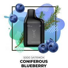 Одноразка SAB 5000 затяжок №58 Coniferuos Bluberry зі смаком хвойна чорниця
