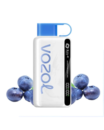 Одноразка Vozol 12000 5% Blueberry storm (чорниця)
