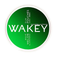 Кофеиновый снюс WAKEY Hyper Charge 50 mg (Дыня) (просроченный)