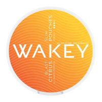 Кофеиновый снюс WAKEY Blast Citrus 50 mg (цитрус)