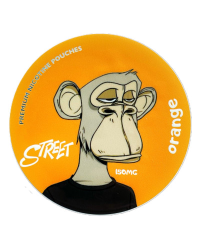 Снюс Street Orange Aпельсин 150 мг (15%)